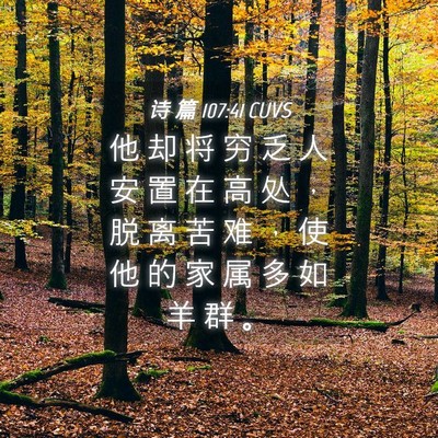 Picture 04 - 诗 篇 107:41 CUVS - 他 却 将 穷 乏 人 安 置 在 高 处 ， - Bible Verse Picture