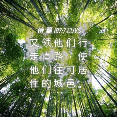 Picture 04 - 诗 篇 107:7 CUVS - 又 领 他 们 行 走 直 路 ， 使 他 们 - Bible Verse Picture