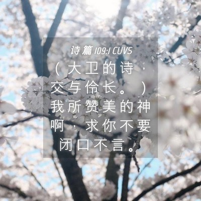 Picture 04 - 诗 篇 109:1 CUVS - （ 大 卫 的 诗 ， 交 与 伶 长 。 ） - Bible Verse Picture