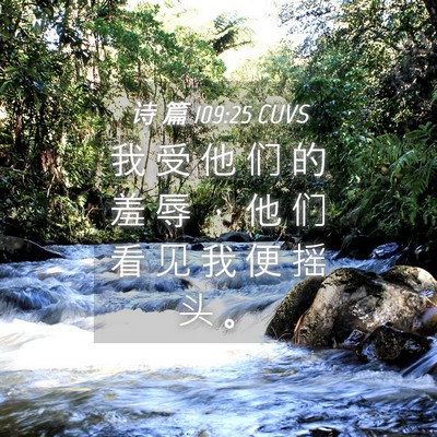 Picture 04 - 诗 篇 109:25 CUVS - 我 受 他 们 的 羞 辱 ， 他 们 看 见 - Bible Verse Picture