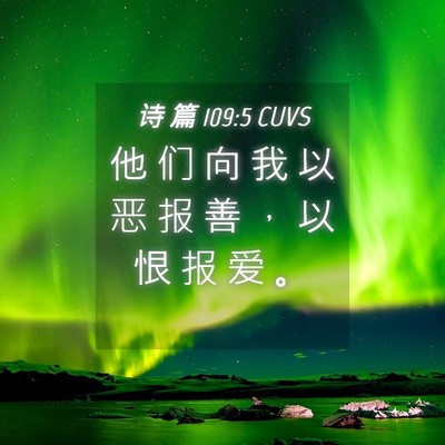 Picture 04 - 诗 篇 109:5 CUVS - 他 们 向 我 以 恶 报 善 ， 以 恨 报 - Bible Verse Picture