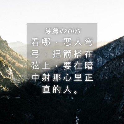 Picture 04 - 诗 篇 11:2 CUVS - 看 哪 ， 恶 人 弯 弓 ， 把 箭 搭 在 - Bible Verse Picture