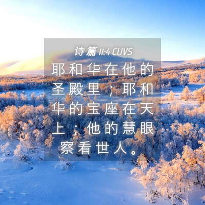 Picture 04 - 诗 篇 11:4 CUVS - 耶 和 华 在 他 的 圣 殿 里 ； 耶 和 - Bible Verse Picture