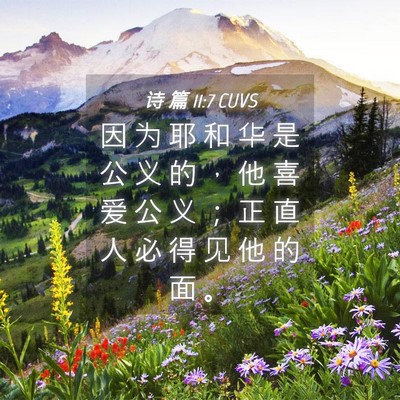 Picture 04 - 诗 篇 11:7 CUVS - 因 为 耶 和 华 是 公 义 的 ， 他 喜 - Bible Verse Picture