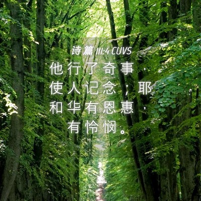 Picture 04 - 诗 篇 111:4 CUVS - 他 行 了 奇 事 ， 使 人 记 念 ； 耶 - Bible Verse Picture