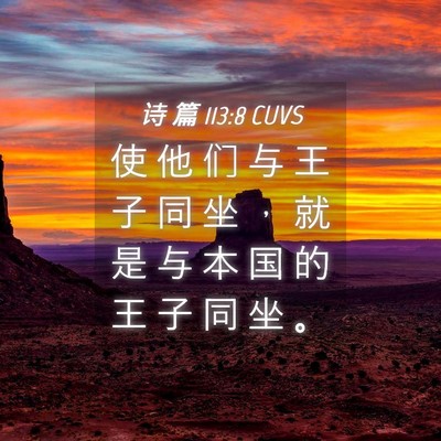 Picture 04 - 诗 篇 113:8 CUVS - 使 他 们 与 王 子 同 坐 ， 就 是 与 - Bible Verse Picture