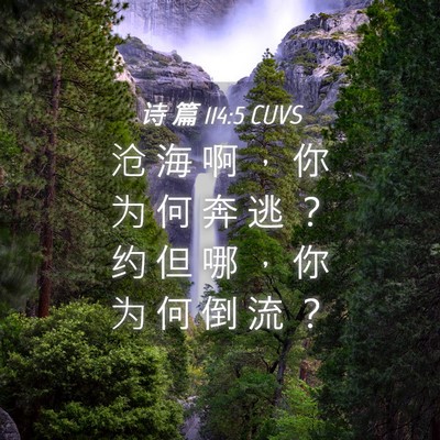 Picture 04 - 诗 篇 114:5 CUVS - 沧 海 啊 ， 你 为 何 奔 逃 ？ 约 但 - Bible Verse Picture