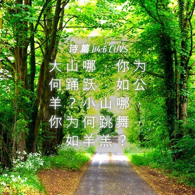 Picture 04 - 诗 篇 114:6 CUVS - 大 山 哪 ， 你 为 何 踊 跃 ， 如 公 - Bible Verse Picture