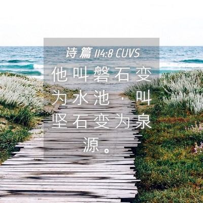 Picture 04 - 诗 篇 114:8 CUVS - 他 叫 磐 石 变 为 水 池 ， 叫 坚 石 - Bible Verse Picture