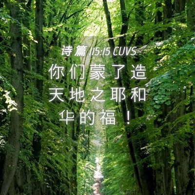 Picture 04 - 诗 篇 115:15 CUVS - 你 们 蒙 了 造 天 地 之 耶 和 华 的 - Bible Verse Picture