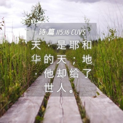 Picture 04 - 诗 篇 115:16 CUVS - 天 ， 是 耶 和 华 的 天 ； 地 ， 他 - Bible Verse Picture
