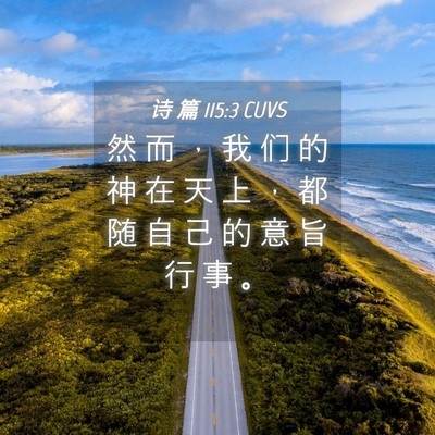 Picture 04 - 诗 篇 115:3 CUVS - 然 而 ， 我 们 的 神 在 天 上 ， 都 - Bible Verse Picture