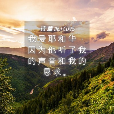 Picture 04 - 诗 篇 116:1 CUVS - 我 爱 耶 和 华 ， 因 为 他 听 了 我 - Bible Verse Picture