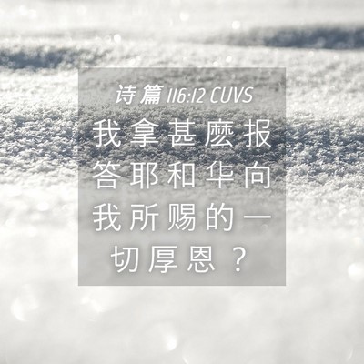 Picture 04 - 诗 篇 116:12 CUVS - 我 拿 甚 麽 报 答 耶 和 华 向 我 所 - Bible Verse Picture