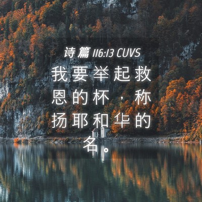 Picture 04 - 诗 篇 116:13 CUVS - 我 要 举 起 救 恩 的 杯 ， 称 扬 耶 - Bible Verse Picture