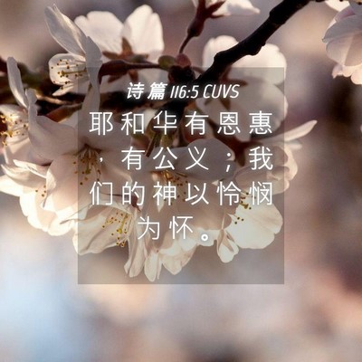 Picture 04 - 诗 篇 116:5 CUVS - 耶 和 华 有 恩 惠 ， 有 公 义 ； 我 - Bible Verse Picture