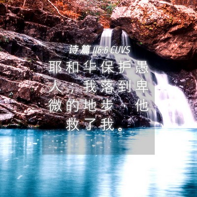 Picture 04 - 诗 篇 116:6 CUVS - 耶 和 华 保 护 愚 人 ； 我 落 到 卑 - Bible Verse Picture