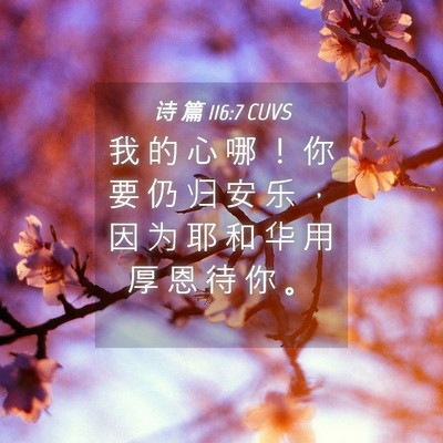 Picture 04 - 诗 篇 116:7 CUVS - 我 的 心 哪 ！ 你 要 仍 归 安 乐 ， - Bible Verse Picture