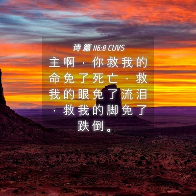 Picture 04 - 诗 篇 116:8 CUVS - 主 啊 ， 你 救 我 的 命 免 了 死 亡 - Bible Verse Picture