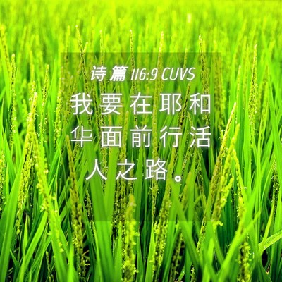 Picture 04 - 诗 篇 116:9 CUVS - 我 要 在 耶 和 华 面 前 行 活 人 之 - Bible Verse Picture