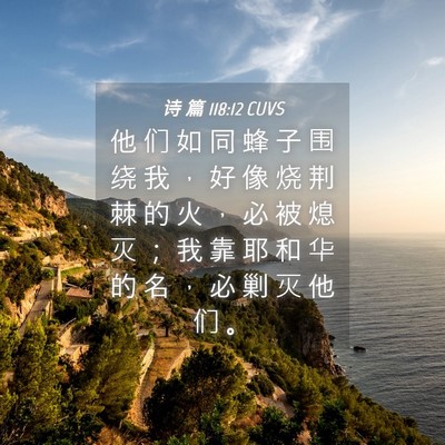 Picture 04 - 诗 篇 118:12 CUVS - 他 们 如 同 蜂 子 围 绕 我 ， 好 像 - Bible Verse Picture