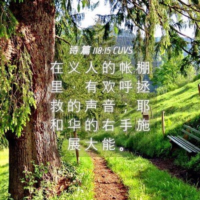 Picture 04 - 诗 篇 118:15 CUVS - 在 义 人 的 帐 棚 里 ， 有 欢 呼 拯 - Bible Verse Picture