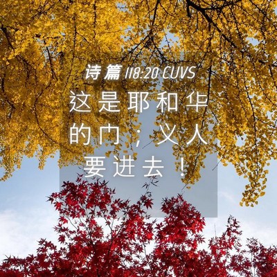 Picture 04 - 诗 篇 118:20 CUVS - 这 是 耶 和 华 的 门 ； 义 人 要 进 - Bible Verse Picture