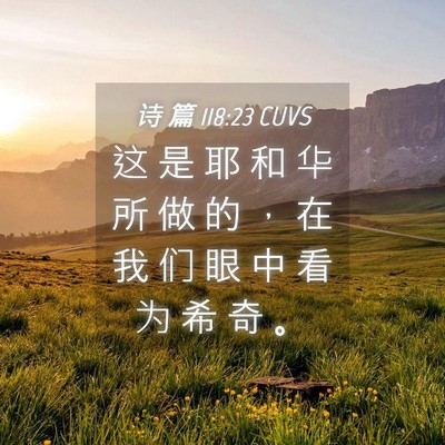 Picture 04 - 诗 篇 118:23 CUVS - 这 是 耶 和 华 所 做 的 ， 在 我 们 - Bible Verse Picture