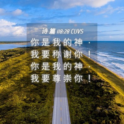 Picture 04 - 诗 篇 118:28 CUVS - 你 是 我 的 神 ， 我 要 称 谢 你 ！ - Bible Verse Picture