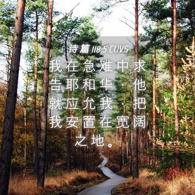 Picture 04 - 诗 篇 118:5 CUVS - 我 在 急 难 中 求 告 耶 和 华 ， 他 - Bible Verse Picture