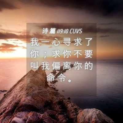 Picture 04 - 诗 篇 119:10 CUVS - 我 一 心 寻 求 了 你 ； 求 你 不 要 - Bible Verse Picture
