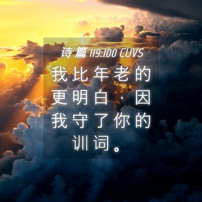 Picture 04 - 诗 篇 119:100 CUVS - 我 比 年 老 的 更 明 白 ， 因 我 守 - Bible Verse Picture
