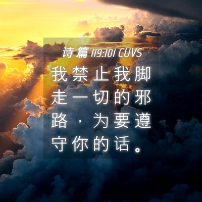 Picture 04 - 诗 篇 119:101 CUVS - 我 禁 止 我 脚 走 一 切 的 邪 路 ， - Bible Verse Picture
