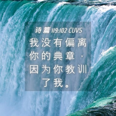Picture 04 - 诗 篇 119:102 CUVS - 我 没 有 偏 离 你 的 典 章 ， 因 为 - Bible Verse Picture