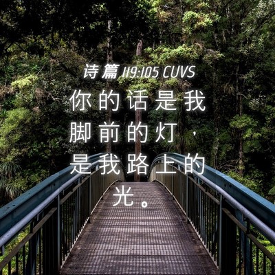 Picture 04 - 诗 篇 119:105 CUVS - 你 的 话 是 我 脚 前 的 灯 ， 是 我 - Bible Verse Picture