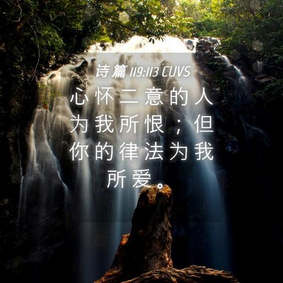 Picture 04 - 诗 篇 119:113 CUVS - 心 怀 二 意 的 人 为 我 所 恨 ； 但 - Bible Verse Picture