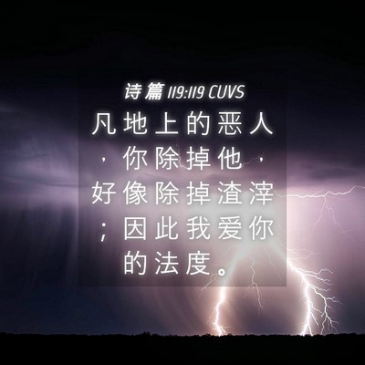 Picture 04 - 诗 篇 119:119 CUVS - 凡 地 上 的 恶 人 ， 你 除 掉 他 ， - Bible Verse Picture