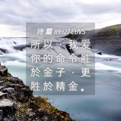 Picture 04 - 诗 篇 119:127 CUVS - 所 以 ， 我 爱 你 的 命 令 胜 於 金 - Bible Verse Picture