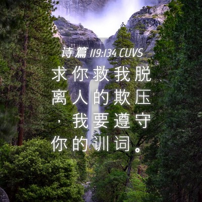 Picture 04 - 诗 篇 119:134 CUVS - 求 你 救 我 脱 离 人 的 欺 压 ， 我 - Bible Verse Picture