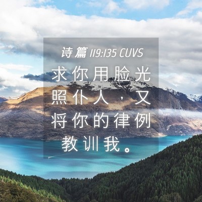 Picture 04 - 诗 篇 119:135 CUVS - 求 你 用 脸 光 照 仆 人 ， 又 将 你 - Bible Verse Picture