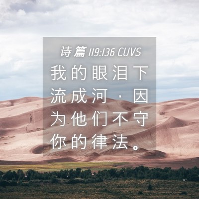 Picture 04 - 诗 篇 119:136 CUVS - 我 的 眼 泪 下 流 成 河 ， 因 为 他 - Bible Verse Picture