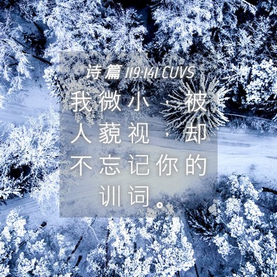Picture 04 - 诗 篇 119:141 CUVS - 我 微 小 ， 被 人 藐 视 ， 却 不 忘 - Bible Verse Picture