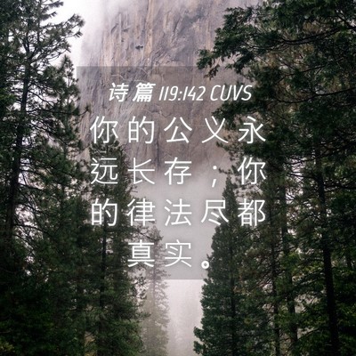 Picture 04 - 诗 篇 119:142 CUVS - 你 的 公 义 永 远 长 存 ； 你 的 律 - Bible Verse Picture