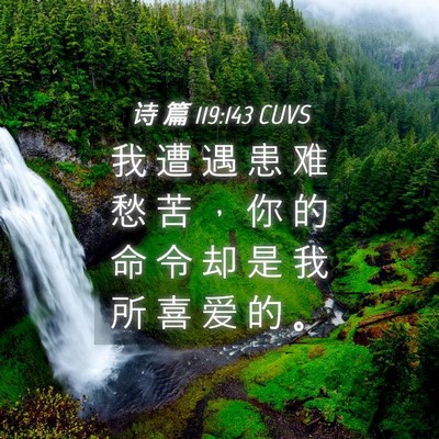 Picture 04 - 诗 篇 119:143 CUVS - 我 遭 遇 患 难 愁 苦 ， 你 的 命 令 - Bible Verse Picture