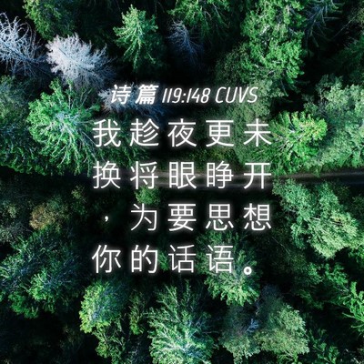 Picture 04 - 诗 篇 119:148 CUVS - 我 趁 夜 更 未 换 将 眼 睁 开 ， 为 - Bible Verse Picture