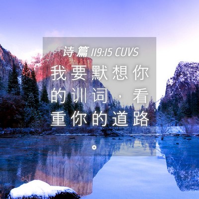 Picture 04 - 诗 篇 119:15 CUVS - 我 要 默 想 你 的 训 词 ， 看 重 你 - Bible Verse Picture