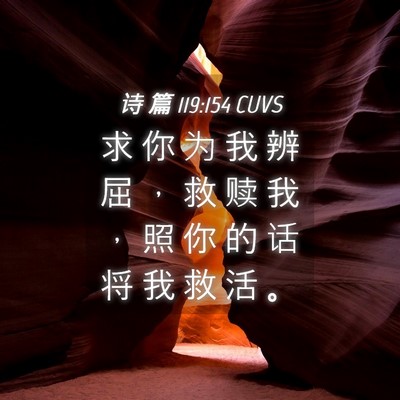 Picture 04 - 诗 篇 119:154 CUVS - 求 你 为 我 辨 屈 ， 救 赎 我 ， 照 - Bible Verse Picture