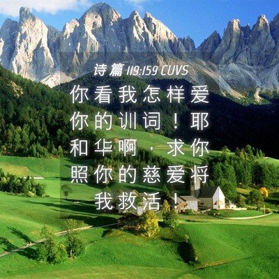 Picture 04 - 诗 篇 119:159 CUVS - 你 看 我 怎 样 爱 你 的 训 词 ！ 耶 - Bible Verse Picture