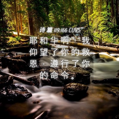 Picture 04 - 诗 篇 119:166 CUVS - 耶 和 华 啊 ， 我 仰 望 了 你 的 救 - Bible Verse Picture