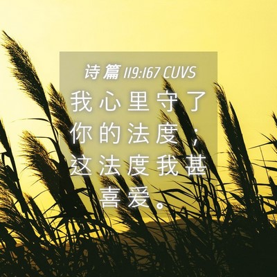 Picture 04 - 诗 篇 119:167 CUVS - 我 心 里 守 了 你 的 法 度 ； 这 法 - Bible Verse Picture